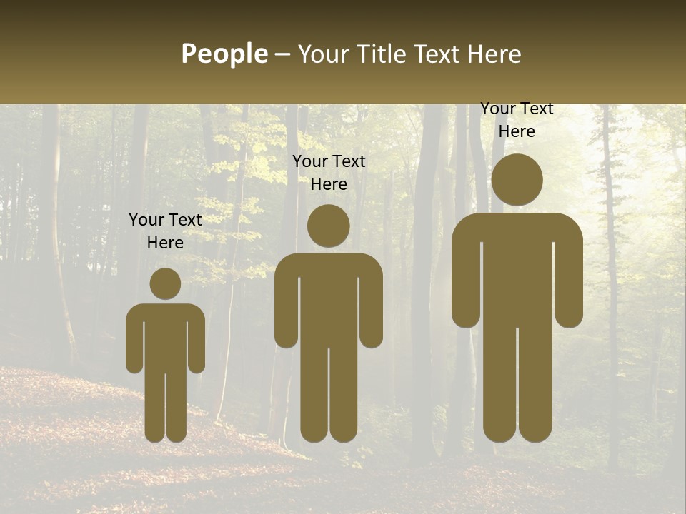 A Forest Filled With Lots Of Trees And Leaves PowerPoint Template