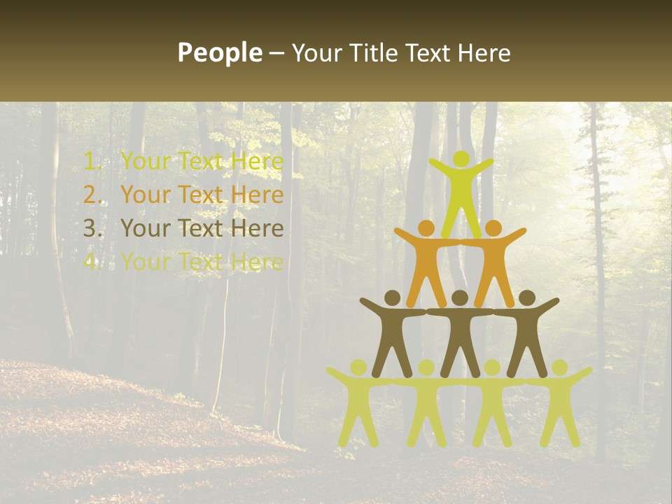 A Forest Filled With Lots Of Trees And Leaves PowerPoint Template