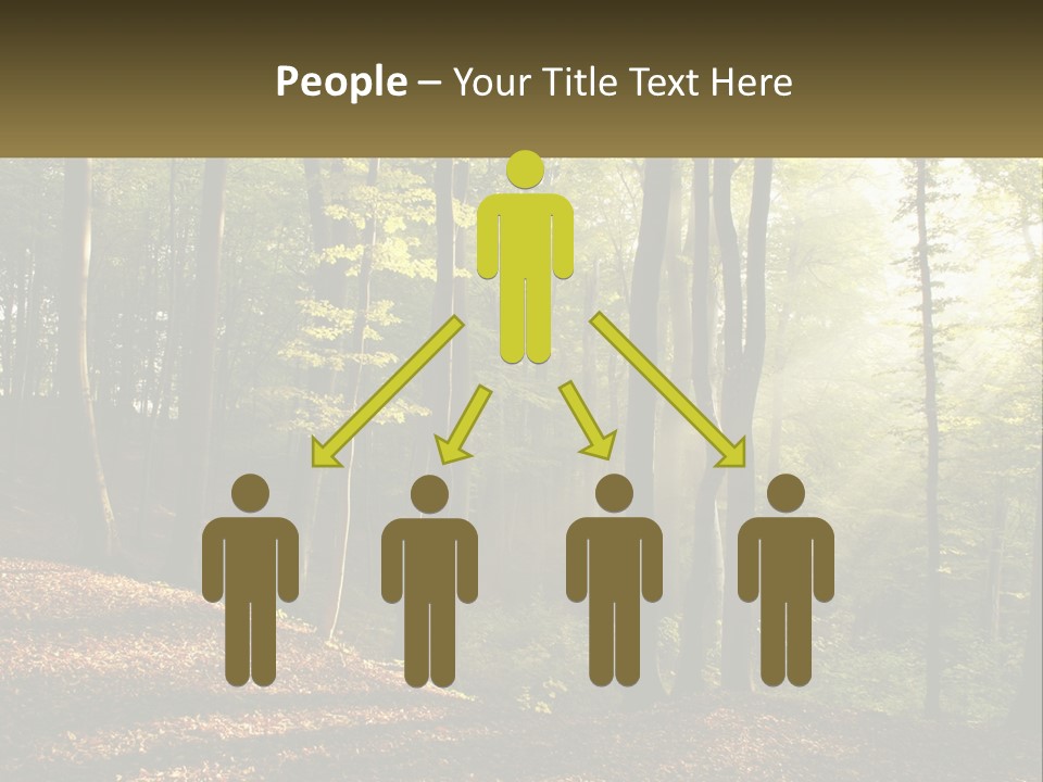 A Forest Filled With Lots Of Trees And Leaves PowerPoint Template