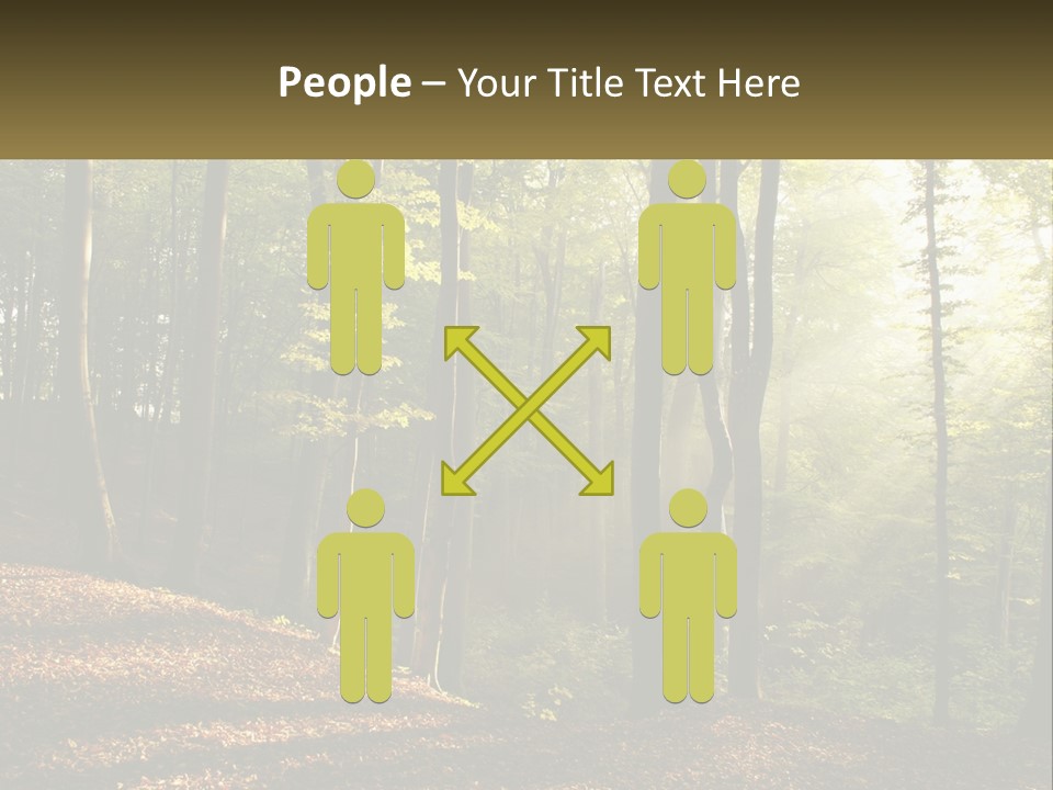 A Forest Filled With Lots Of Trees And Leaves PowerPoint Template