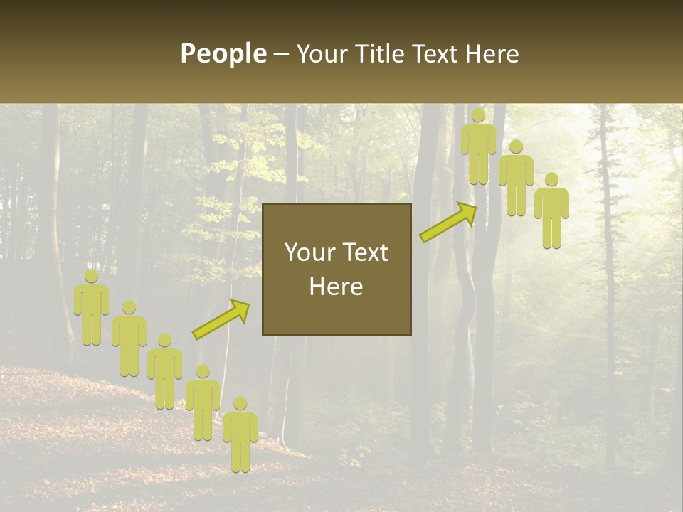 A Forest Filled With Lots Of Trees And Leaves PowerPoint Template