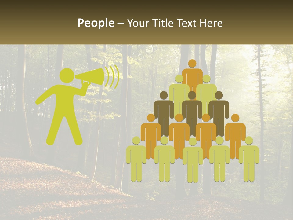 A Forest Filled With Lots Of Trees And Leaves PowerPoint Template