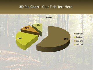 A Forest Filled With Lots Of Trees And Leaves PowerPoint Template