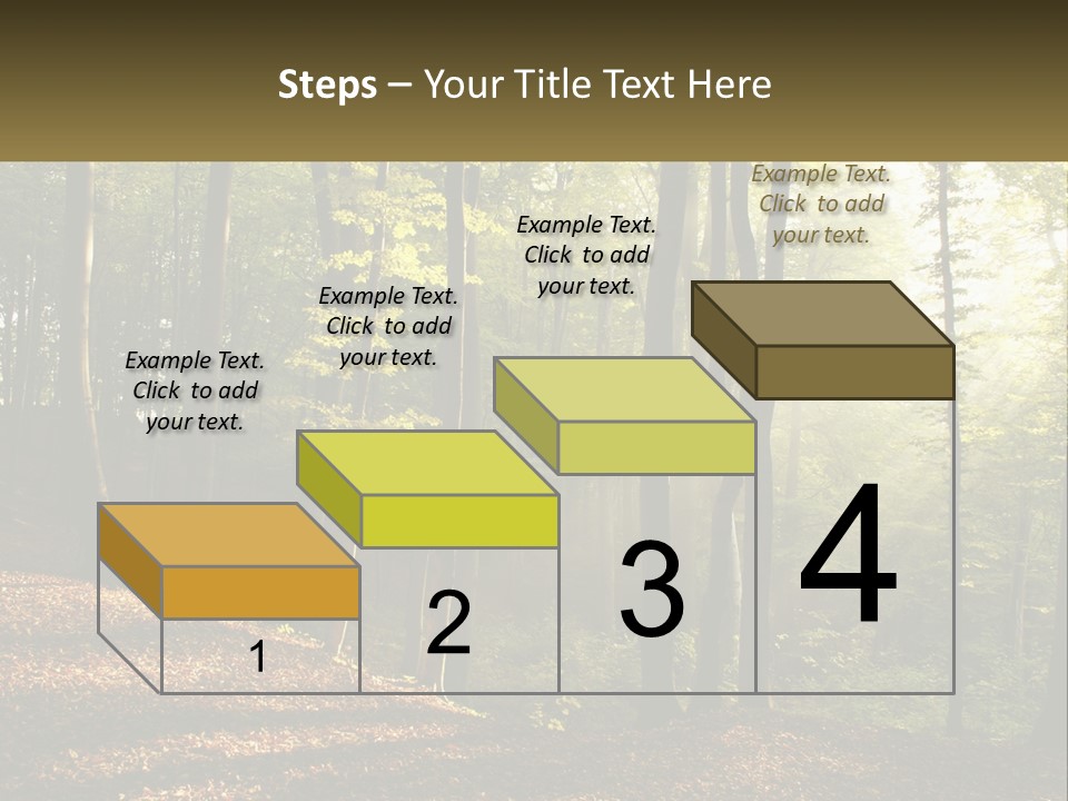 A Forest Filled With Lots Of Trees And Leaves PowerPoint Template