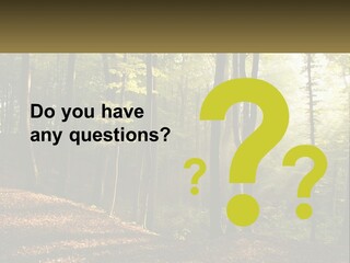 A Forest Filled With Lots Of Trees And Leaves PowerPoint Template