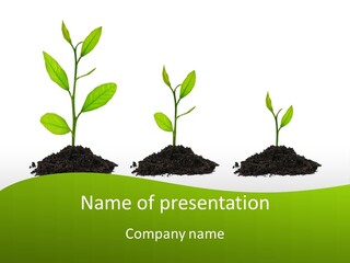 A Group Of Green Plants Growing Out Of Dirt PowerPoint Template