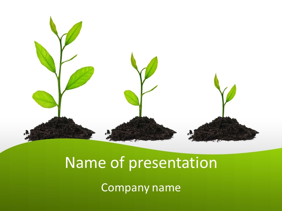 A Group Of Green Plants Growing Out Of Dirt PowerPoint Template