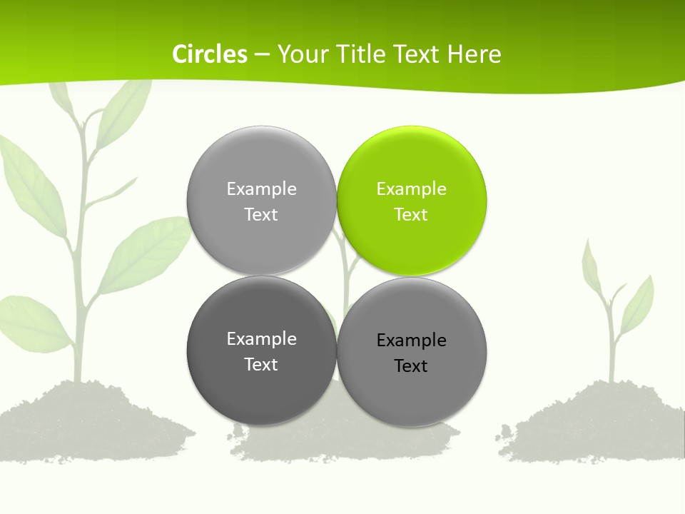 A Group Of Green Plants Growing Out Of Dirt PowerPoint Template