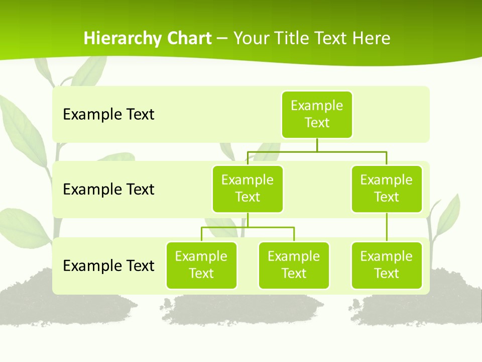 A Group Of Green Plants Growing Out Of Dirt PowerPoint Template