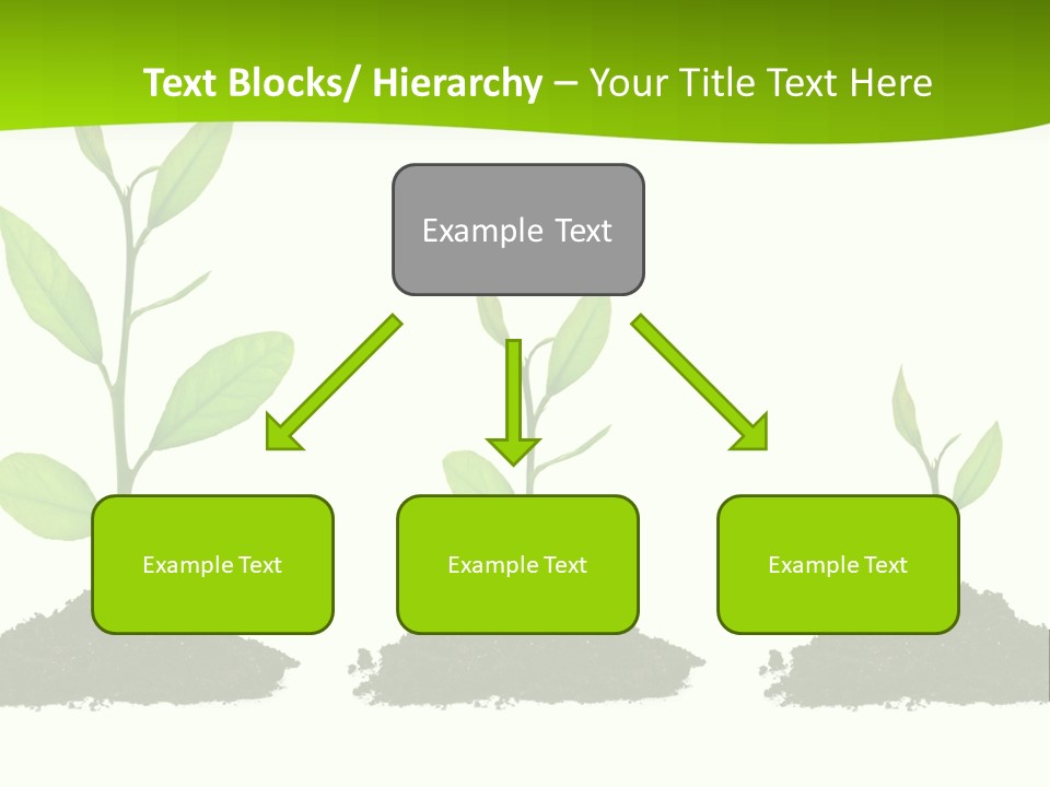 A Group Of Green Plants Growing Out Of Dirt PowerPoint Template