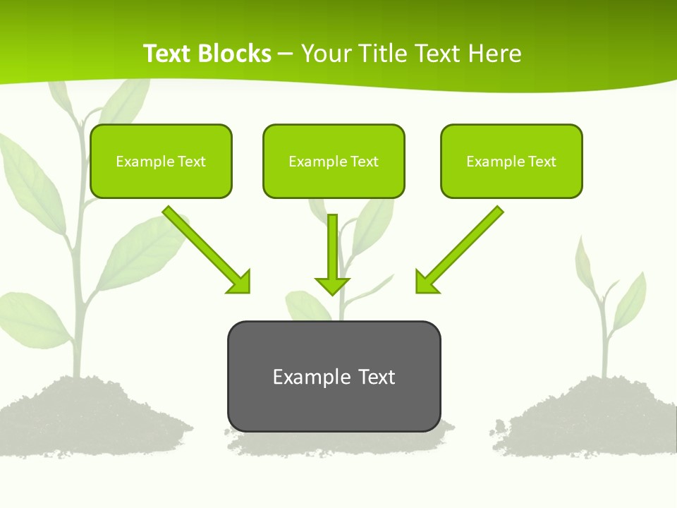 A Group Of Green Plants Growing Out Of Dirt PowerPoint Template