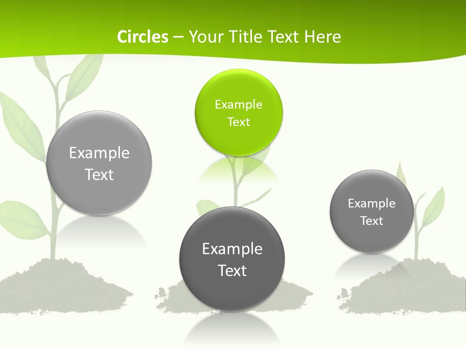 A Group Of Green Plants Growing Out Of Dirt PowerPoint Template