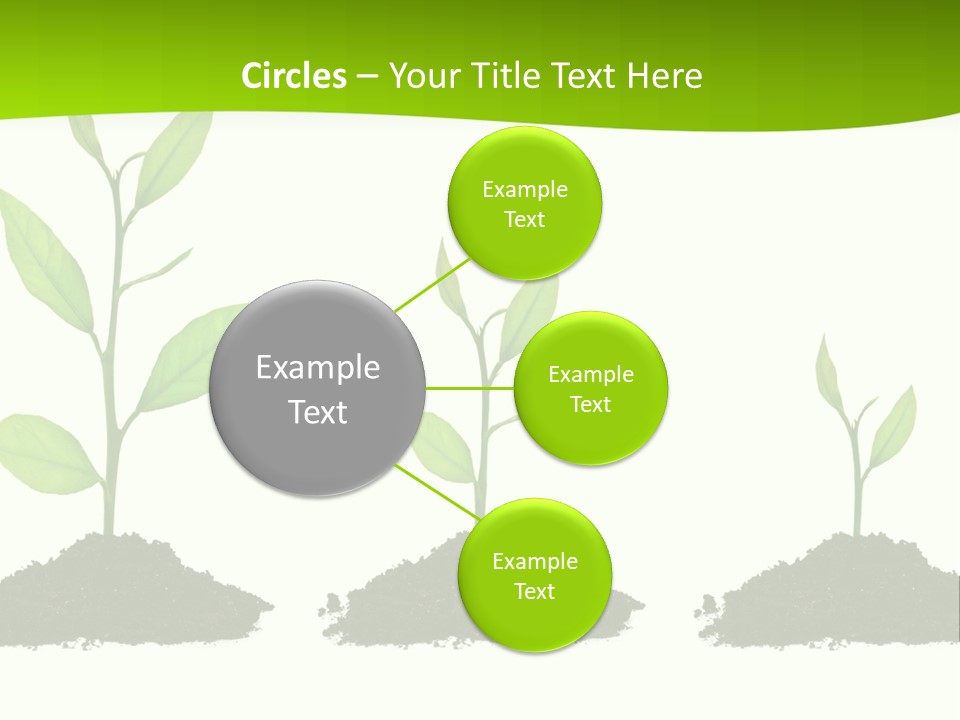 A Group Of Green Plants Growing Out Of Dirt PowerPoint Template