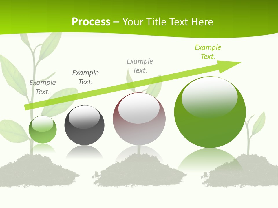 A Group Of Green Plants Growing Out Of Dirt PowerPoint Template