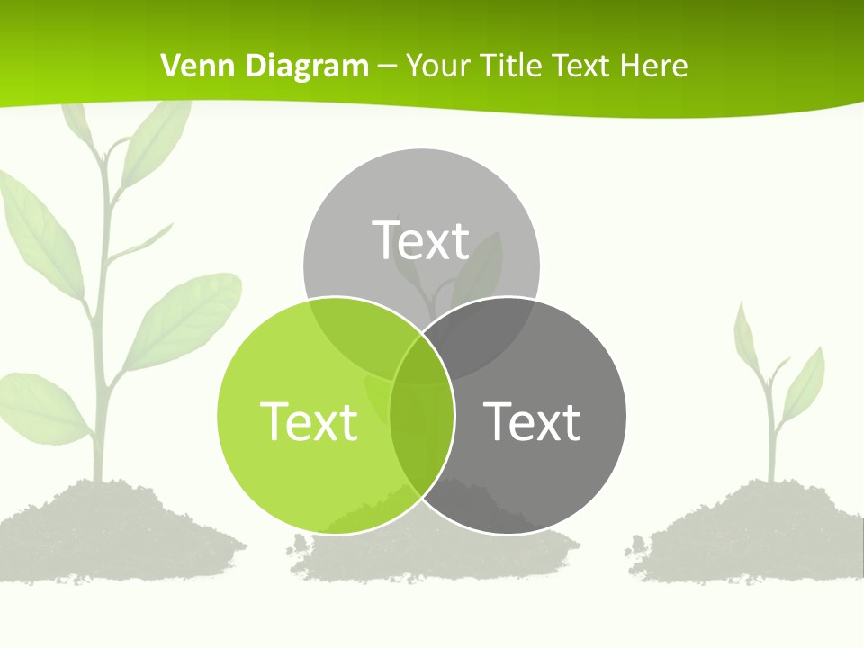 A Group Of Green Plants Growing Out Of Dirt PowerPoint Template
