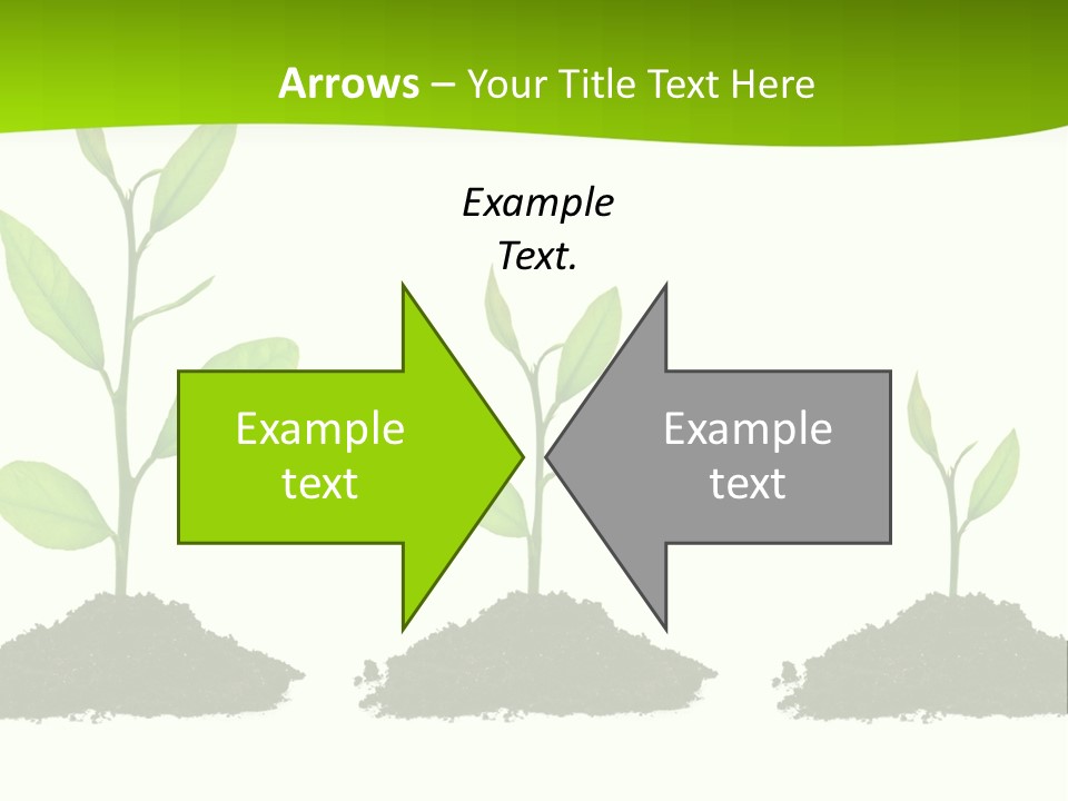 A Group Of Green Plants Growing Out Of Dirt PowerPoint Template