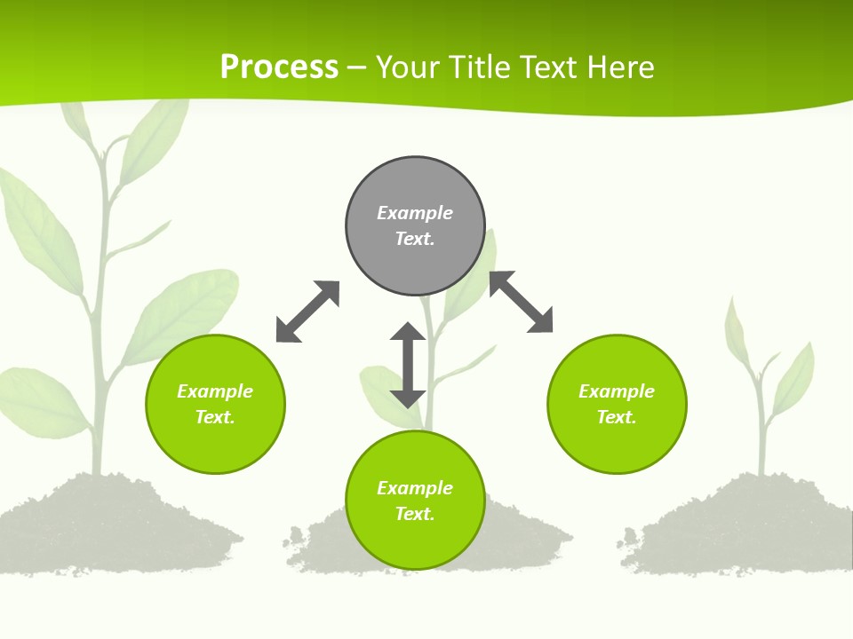 A Group Of Green Plants Growing Out Of Dirt PowerPoint Template