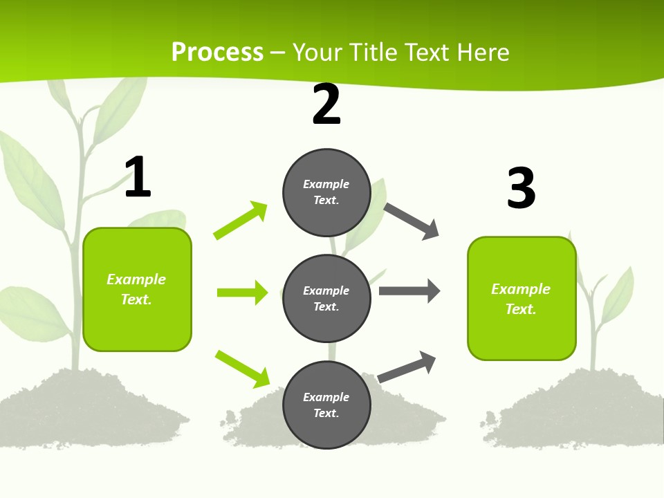 A Group Of Green Plants Growing Out Of Dirt PowerPoint Template