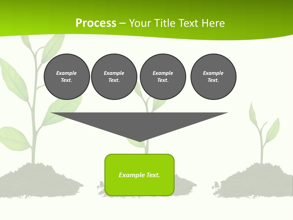 A Group Of Green Plants Growing Out Of Dirt PowerPoint Template