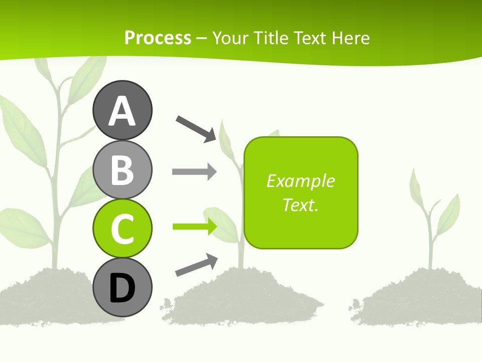 A Group Of Green Plants Growing Out Of Dirt PowerPoint Template