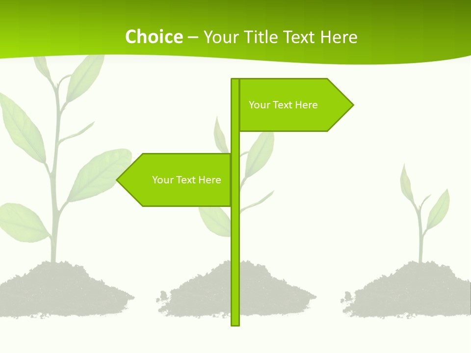 A Group Of Green Plants Growing Out Of Dirt PowerPoint Template