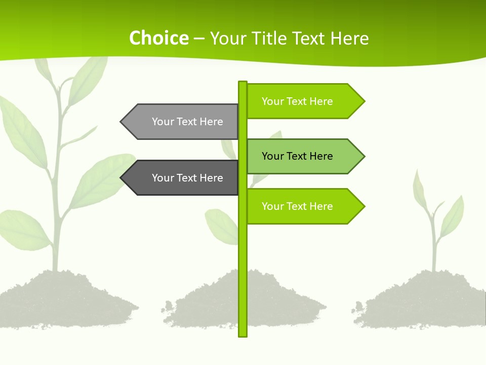 A Group Of Green Plants Growing Out Of Dirt PowerPoint Template