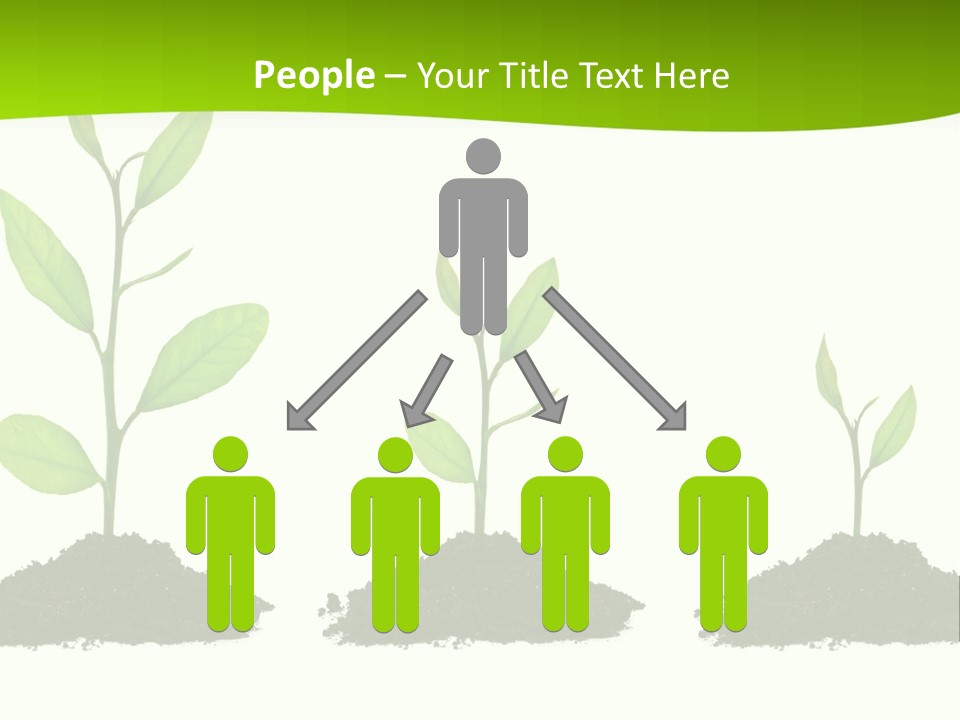 A Group Of Green Plants Growing Out Of Dirt PowerPoint Template