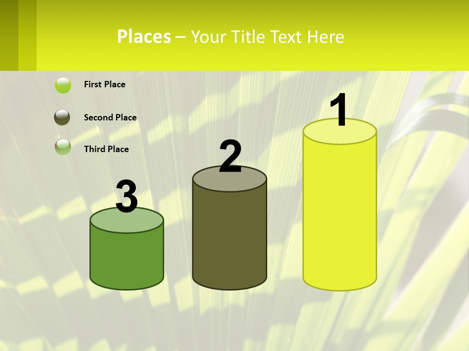 A Large Green Plant With A Yellow Background PowerPoint Template