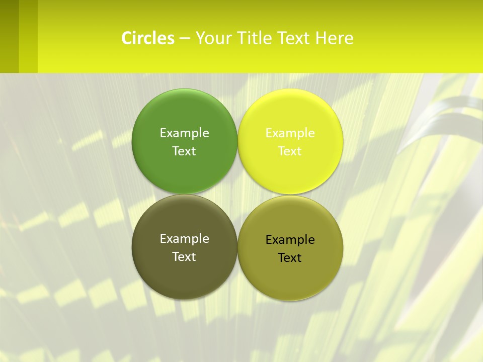 A Large Green Plant With A Yellow Background PowerPoint Template