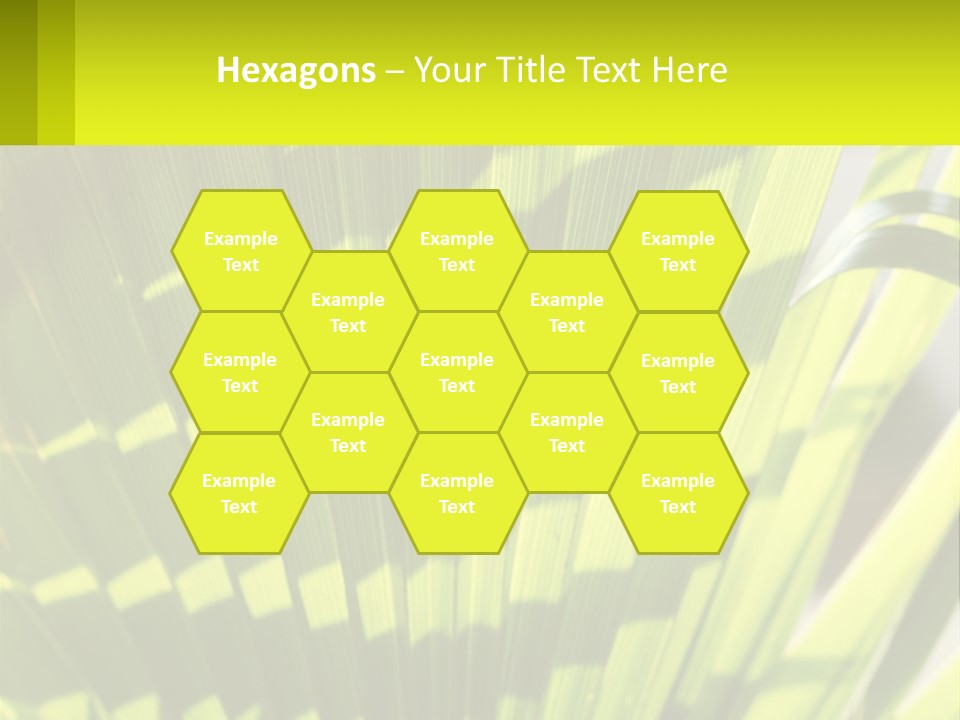 A Large Green Plant With A Yellow Background PowerPoint Template