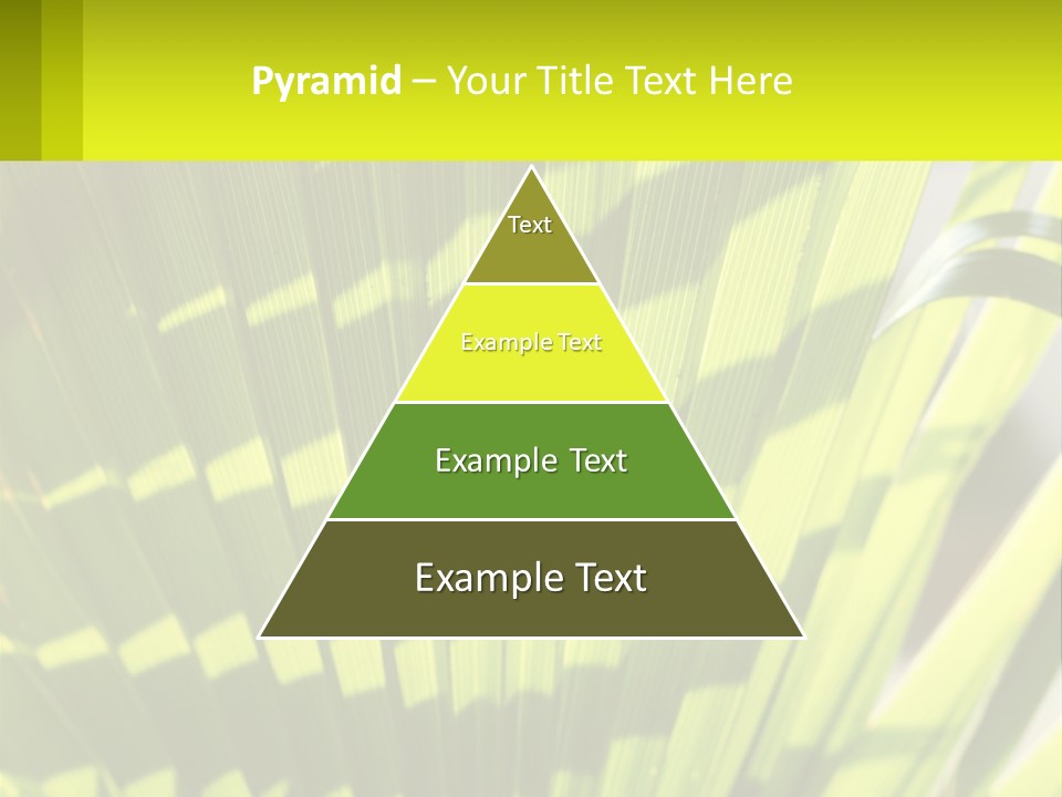 A Large Green Plant With A Yellow Background PowerPoint Template