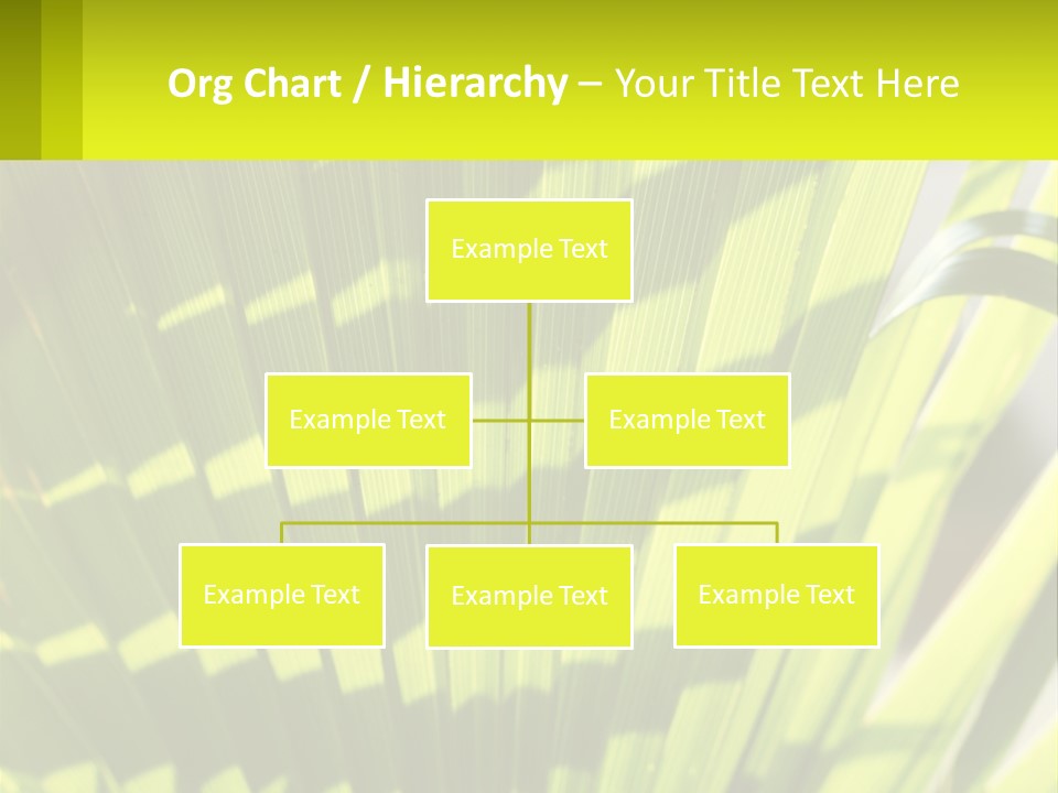 A Large Green Plant With A Yellow Background PowerPoint Template
