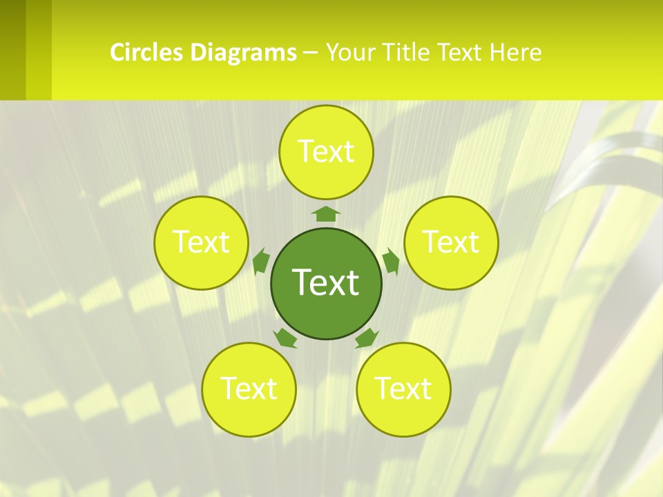 A Large Green Plant With A Yellow Background PowerPoint Template