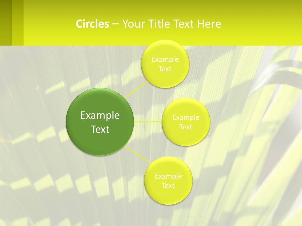 A Large Green Plant With A Yellow Background PowerPoint Template
