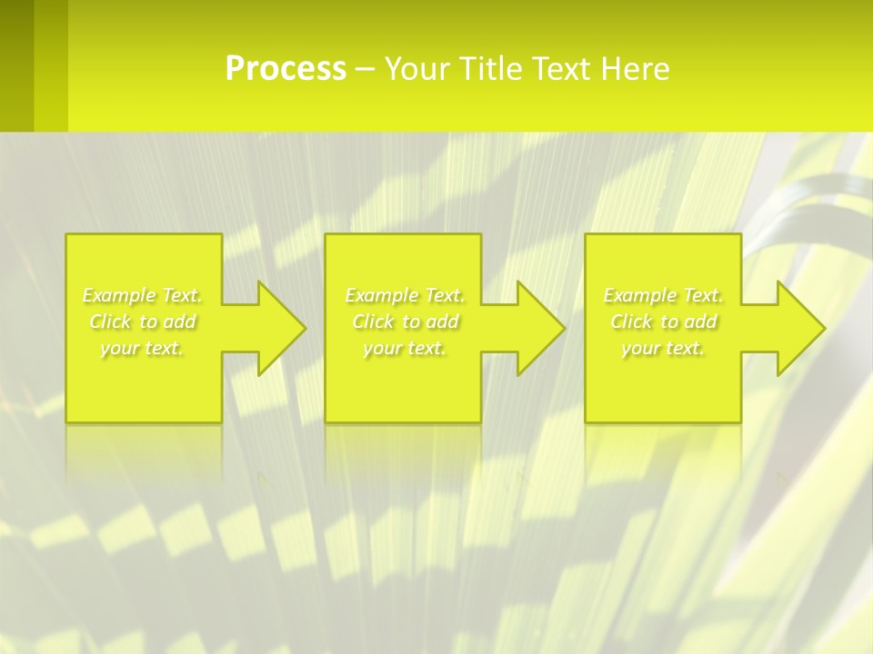 A Large Green Plant With A Yellow Background PowerPoint Template