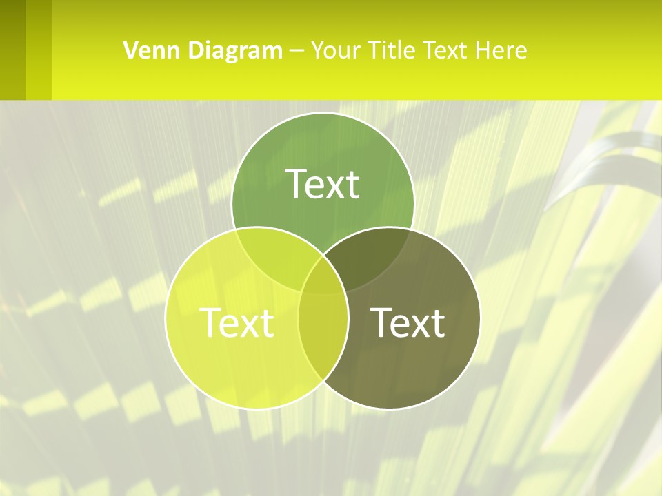A Large Green Plant With A Yellow Background PowerPoint Template