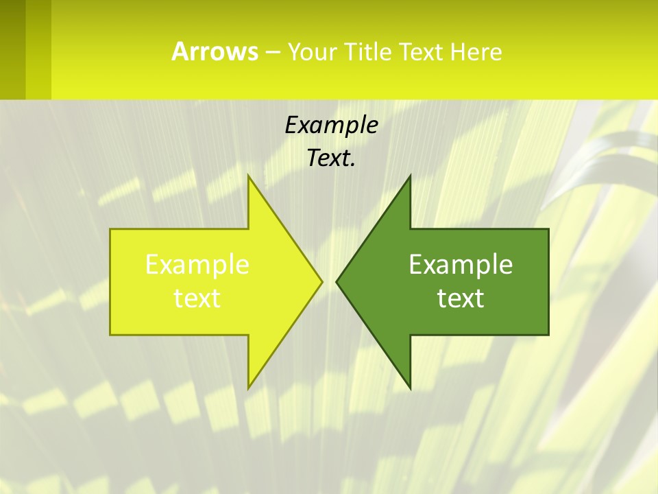 A Large Green Plant With A Yellow Background PowerPoint Template