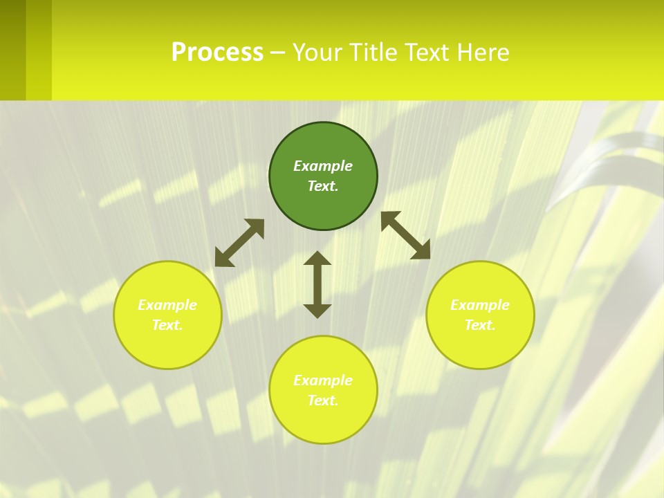 A Large Green Plant With A Yellow Background PowerPoint Template