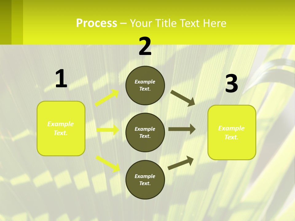 A Large Green Plant With A Yellow Background PowerPoint Template