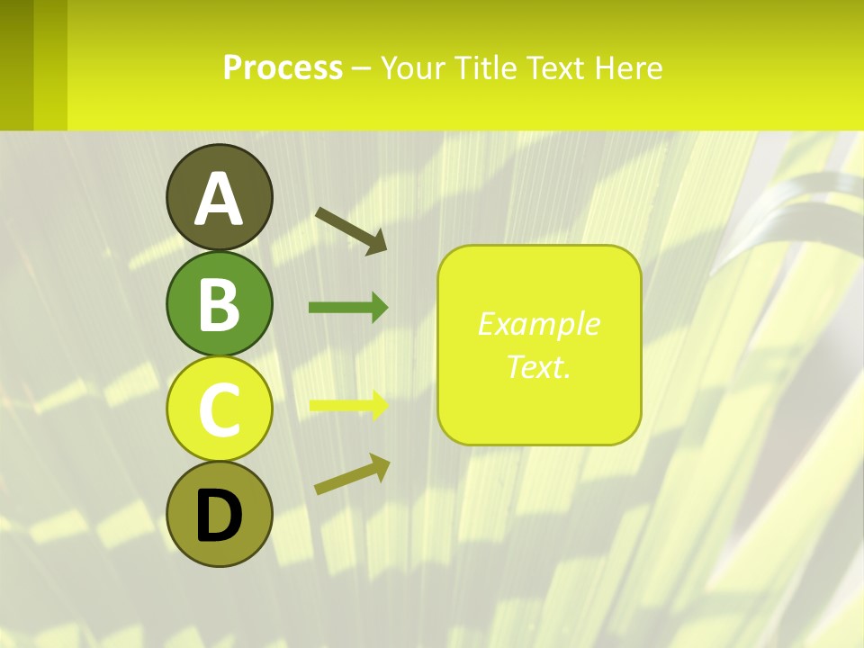 A Large Green Plant With A Yellow Background PowerPoint Template