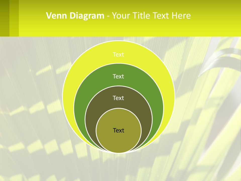 A Large Green Plant With A Yellow Background PowerPoint Template