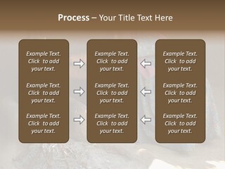 A Woman Is Pouring Water Into A Pot PowerPoint Template