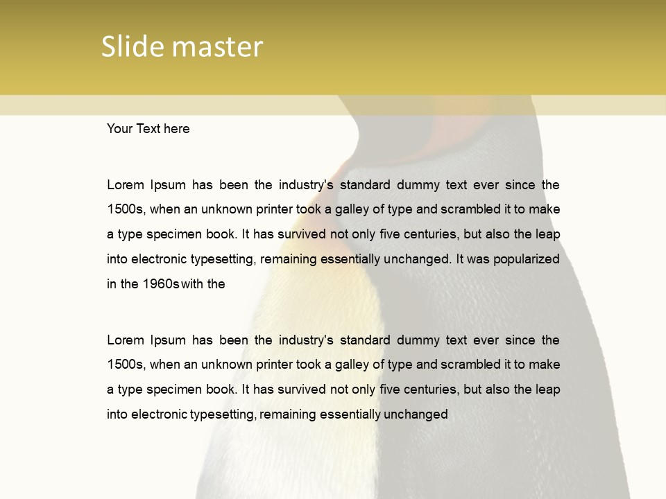 A Penguin Standing Next To A Wall With A White Background PowerPoint Template