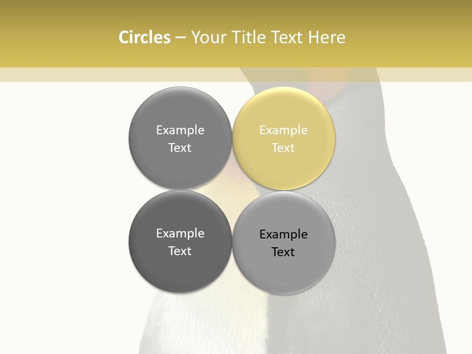 A Penguin Standing Next To A Wall With A White Background PowerPoint Template