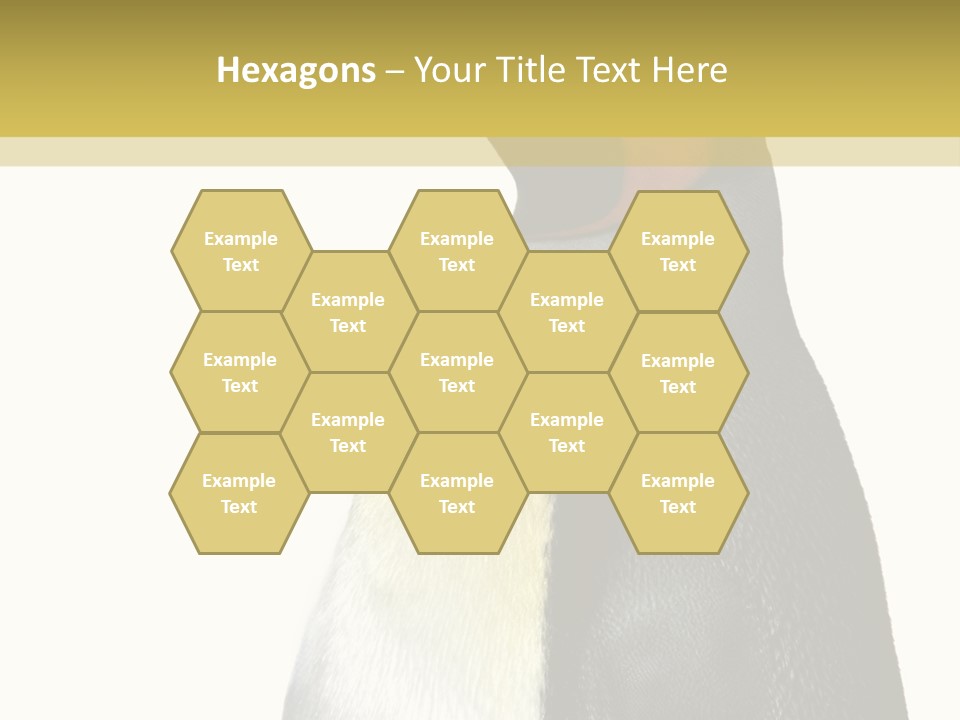 A Penguin Standing Next To A Wall With A White Background PowerPoint Template