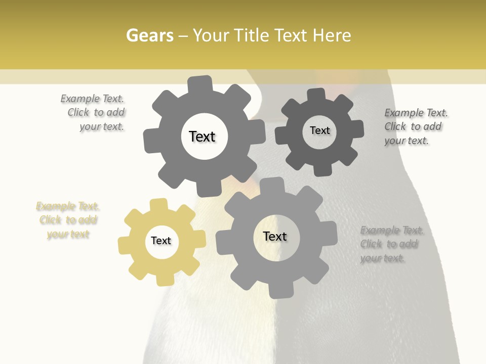 A Penguin Standing Next To A Wall With A White Background PowerPoint Template