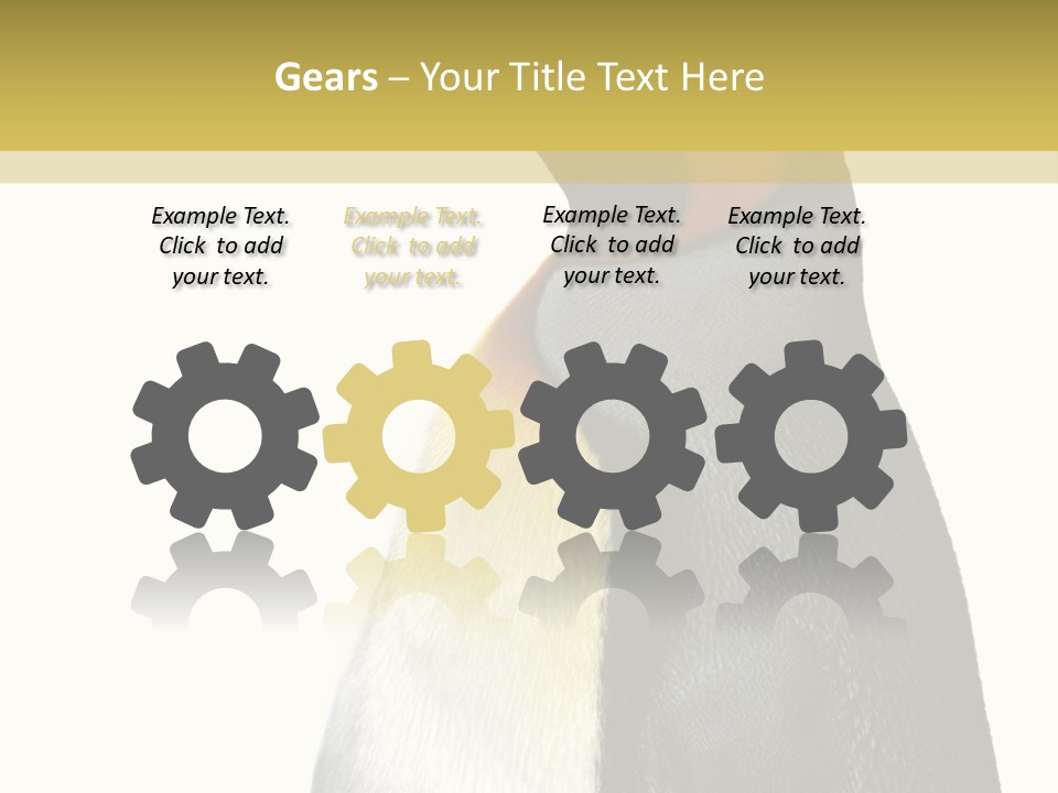 A Penguin Standing Next To A Wall With A White Background PowerPoint Template