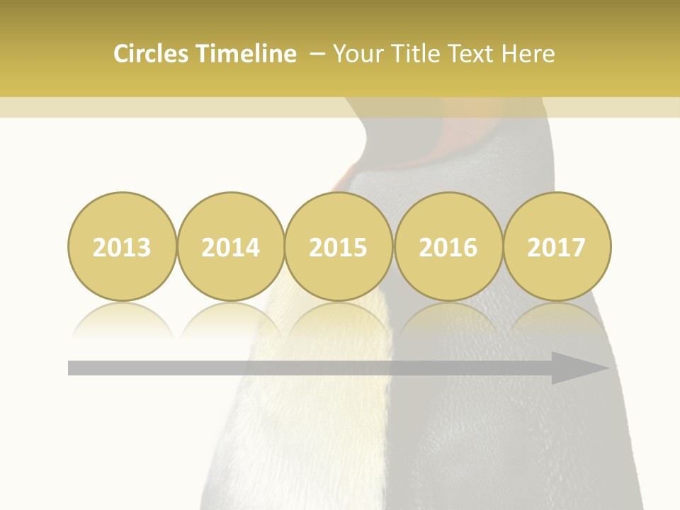 A Penguin Standing Next To A Wall With A White Background PowerPoint Template