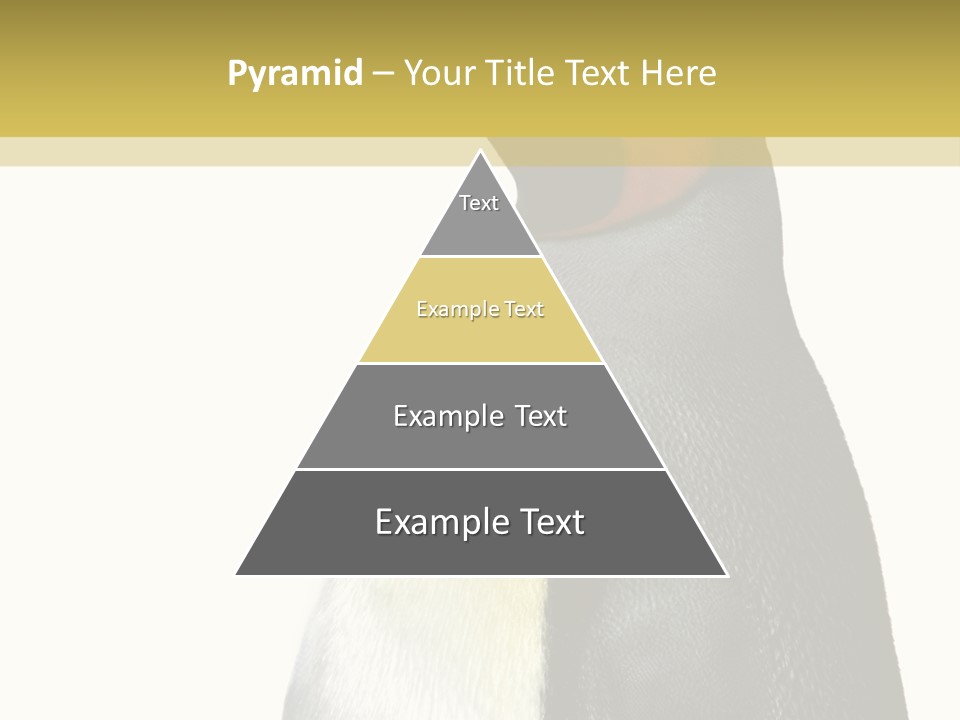 A Penguin Standing Next To A Wall With A White Background PowerPoint Template