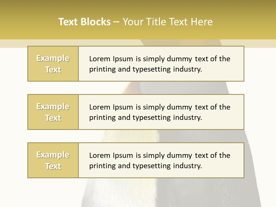 A Penguin Standing Next To A Wall With A White Background PowerPoint Template